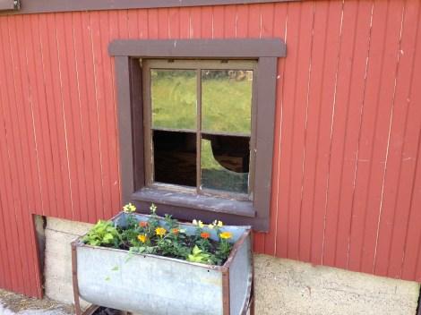 Flowers by Alison, windows by Nolan Ryan.